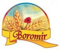 Boromir - Prajitura de casă